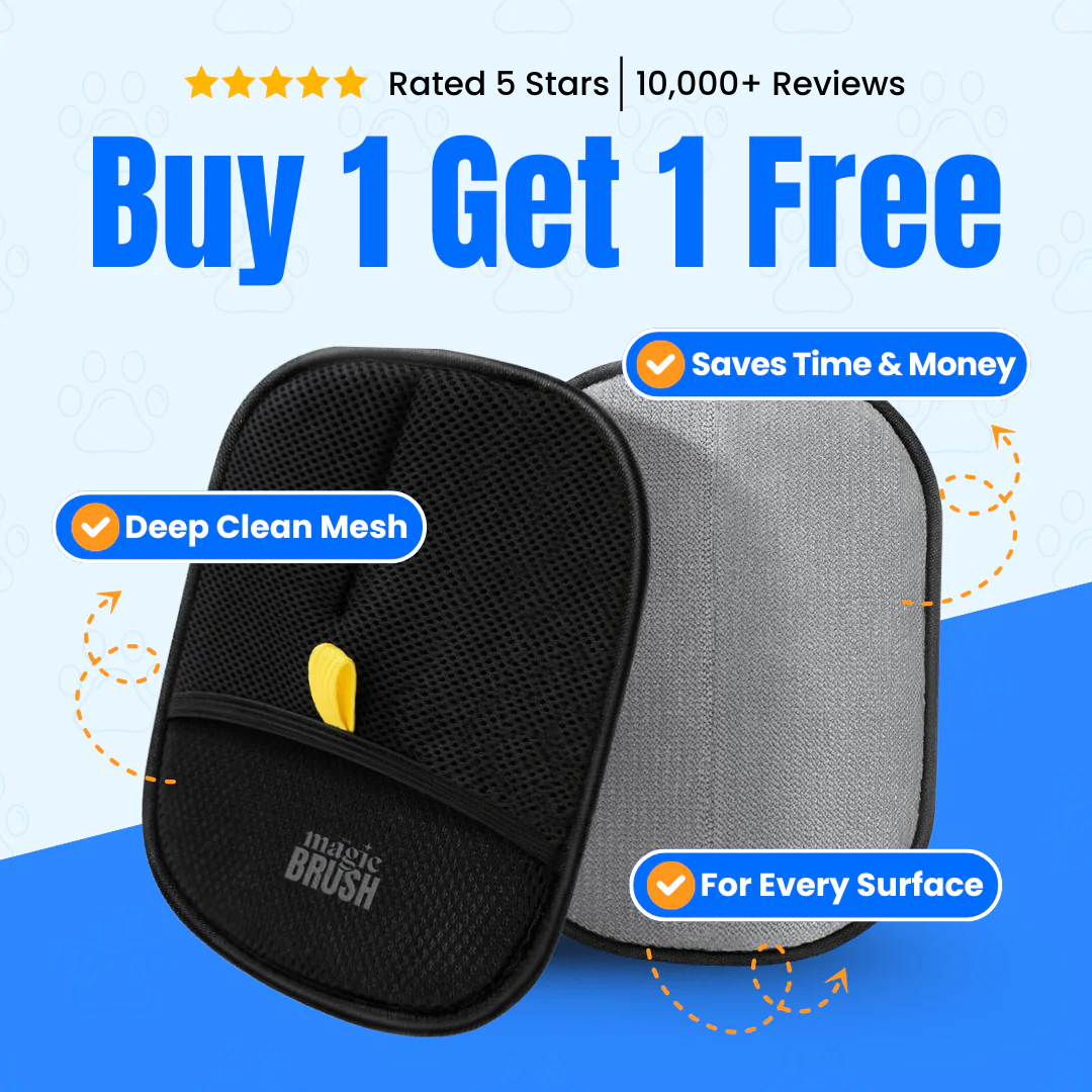 The Magic Brush- Buy 1 Get 1 Free