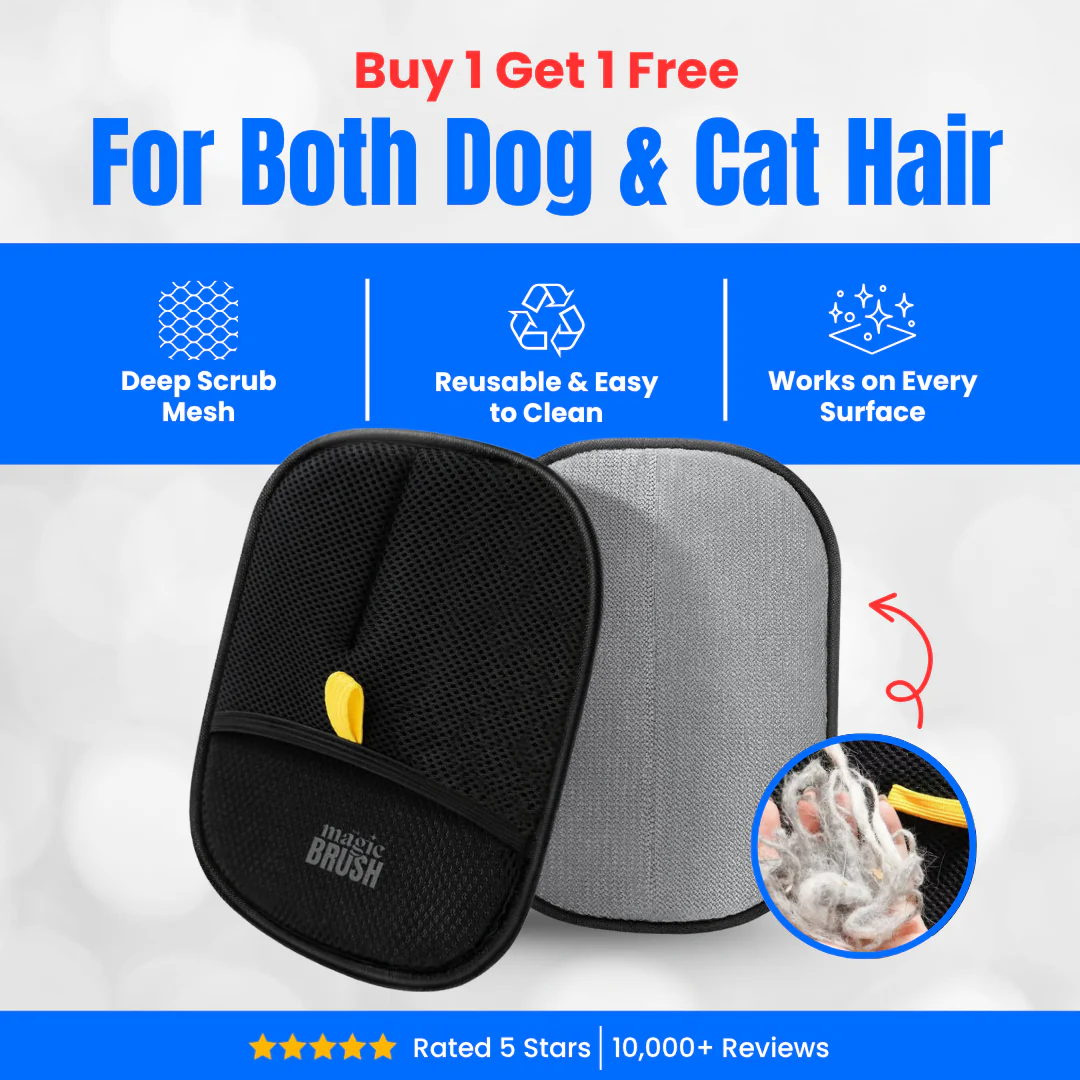 The Magic Brush- Buy 1 Get 1 Free