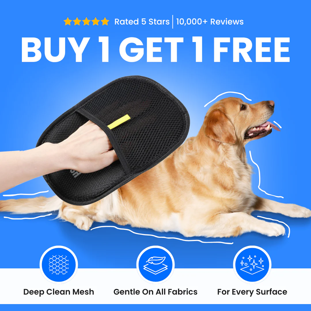 The Magic Brush- Buy 1 Get 1 Free