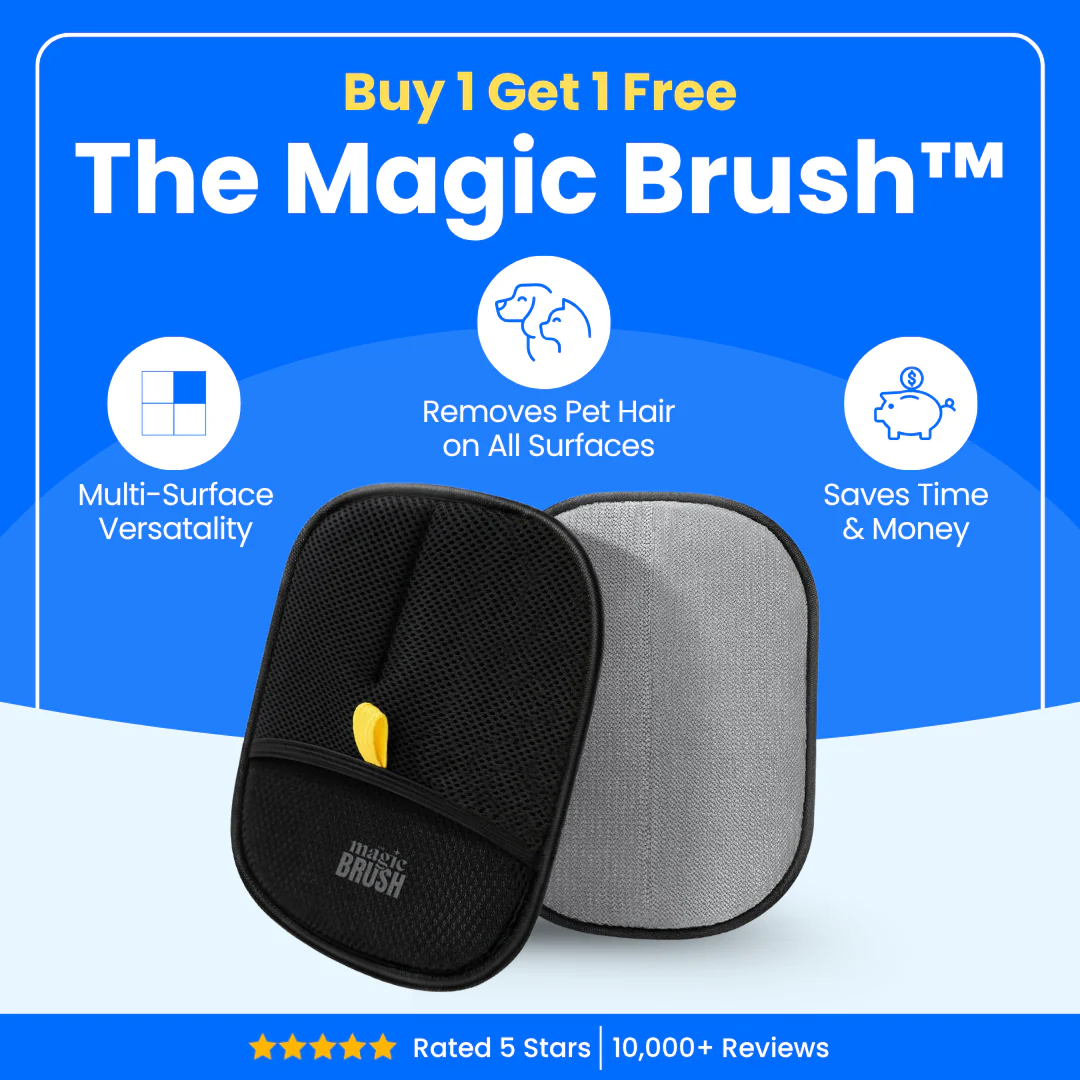 The Magic Brush- Buy 1 Get 1 Free